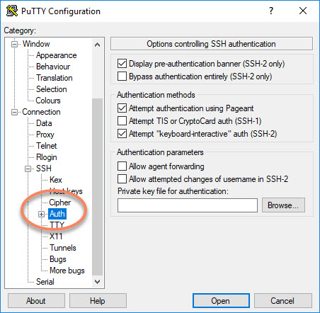 How To Establish An SSH Connection Between Windows And Linux Server